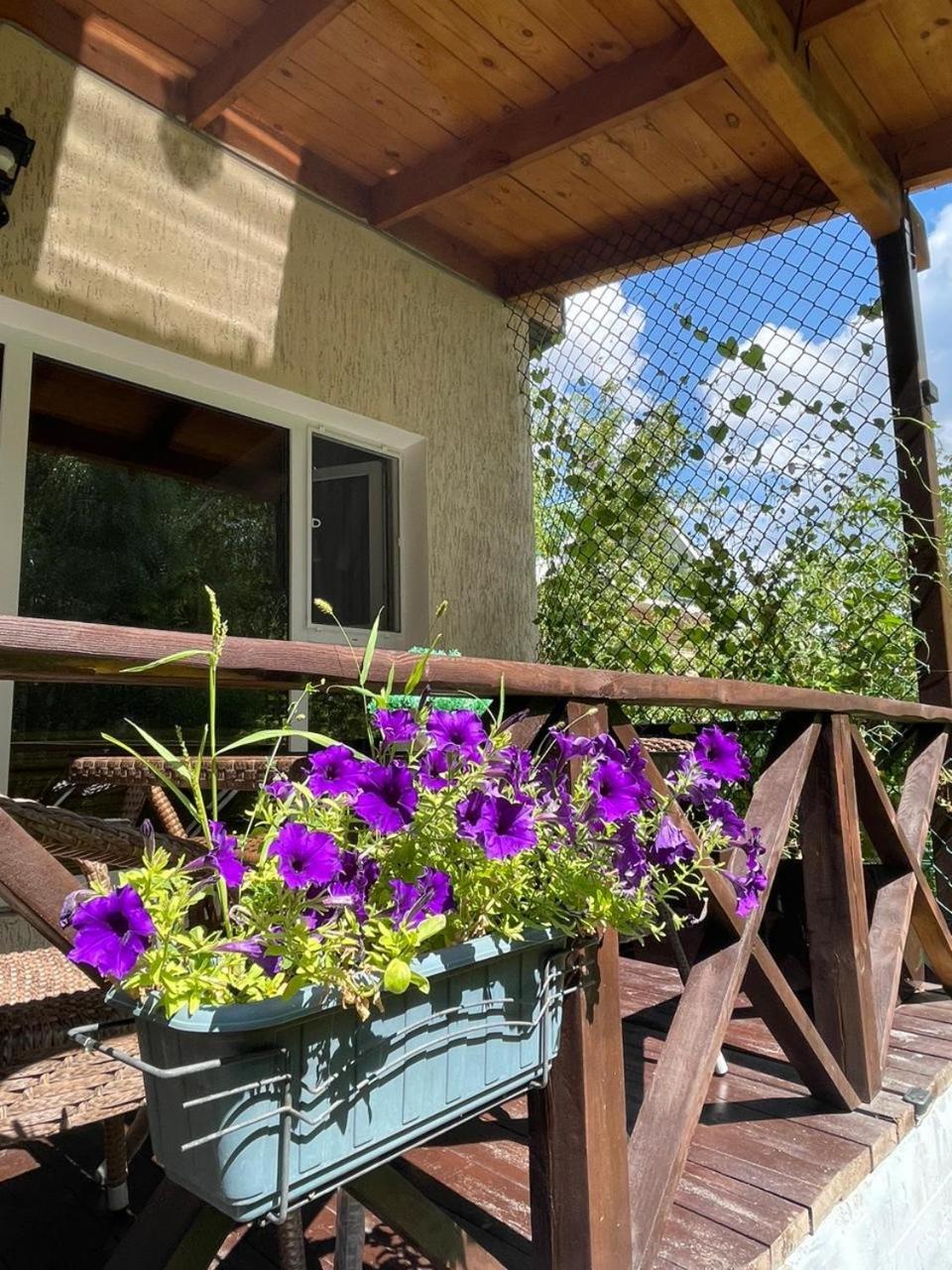 Private Bed & Breakfast Shchuchinsk Luaran gambar